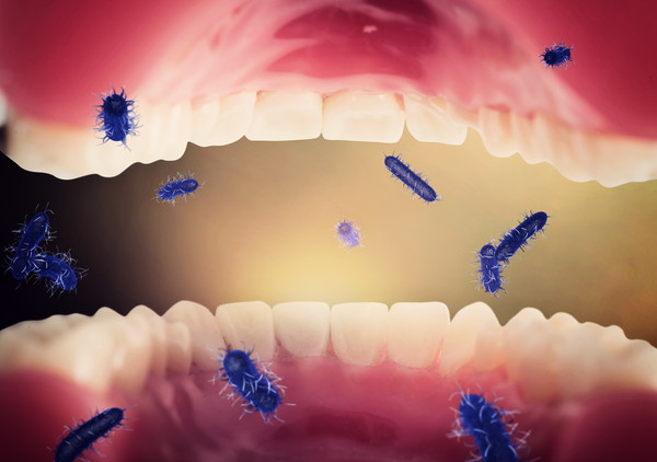 歯の細菌